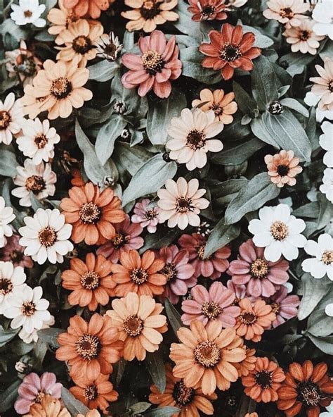 floral background aesthetic